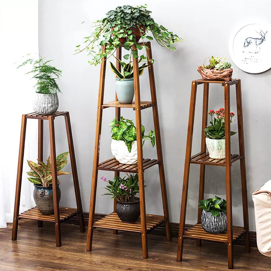 Plant Display Shelf